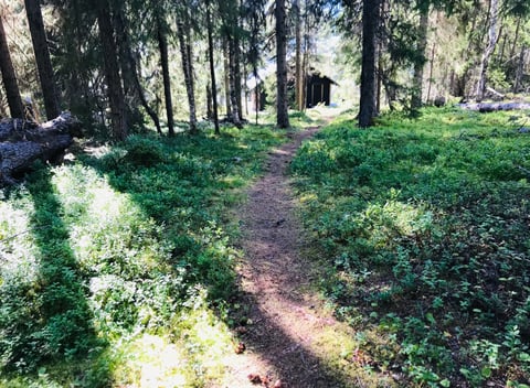 Casa naturaleza en Laisvallby: 25
