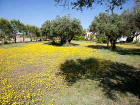 Maison nature à Évora