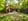 Nature house in Bladel