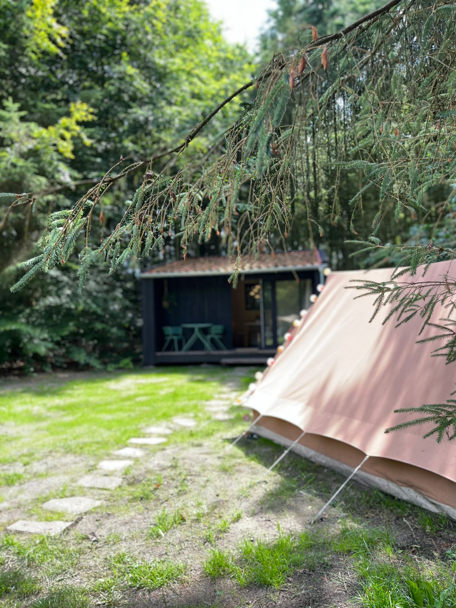 Natuurhuisje in Vriescheloo