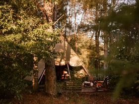 Maison nature dans Uddel