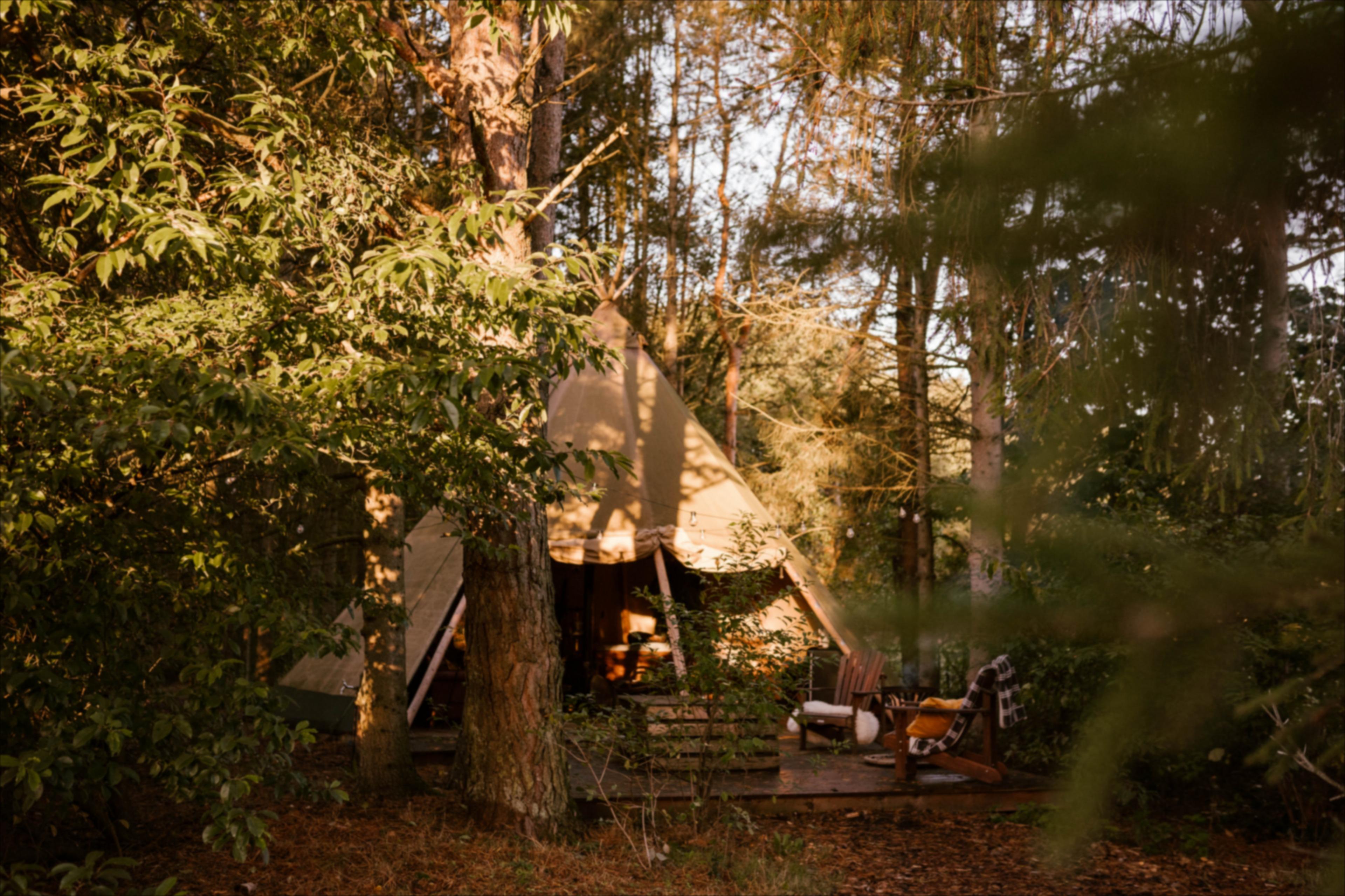 Nature house in Uddel