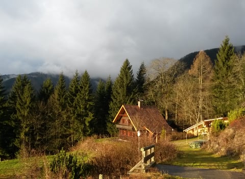 Casa nella natura a Bad Mitterndorf