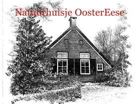 Nature house in Eesveen in Noordwest-Overijssel