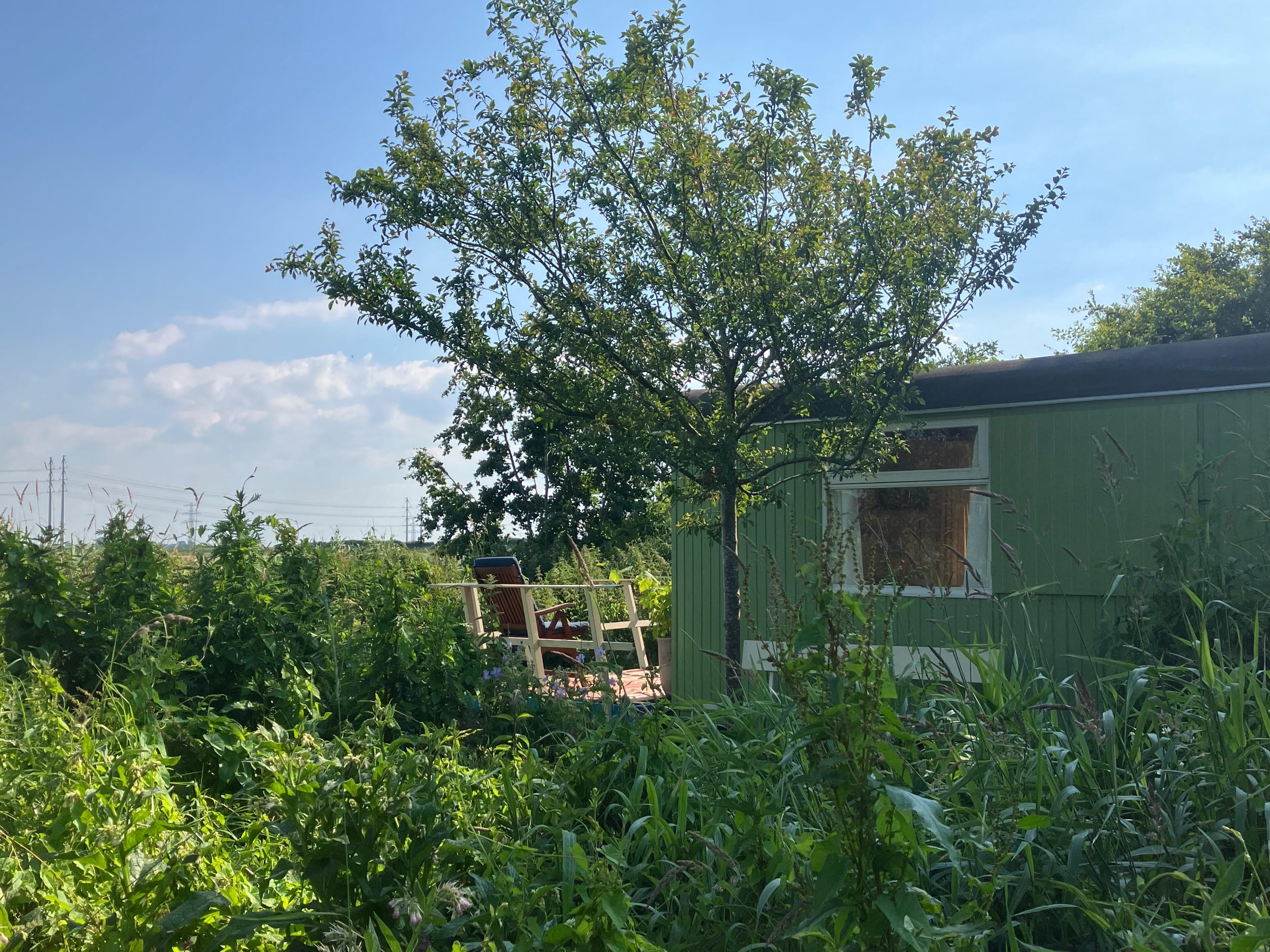 Maison nature à Winsum