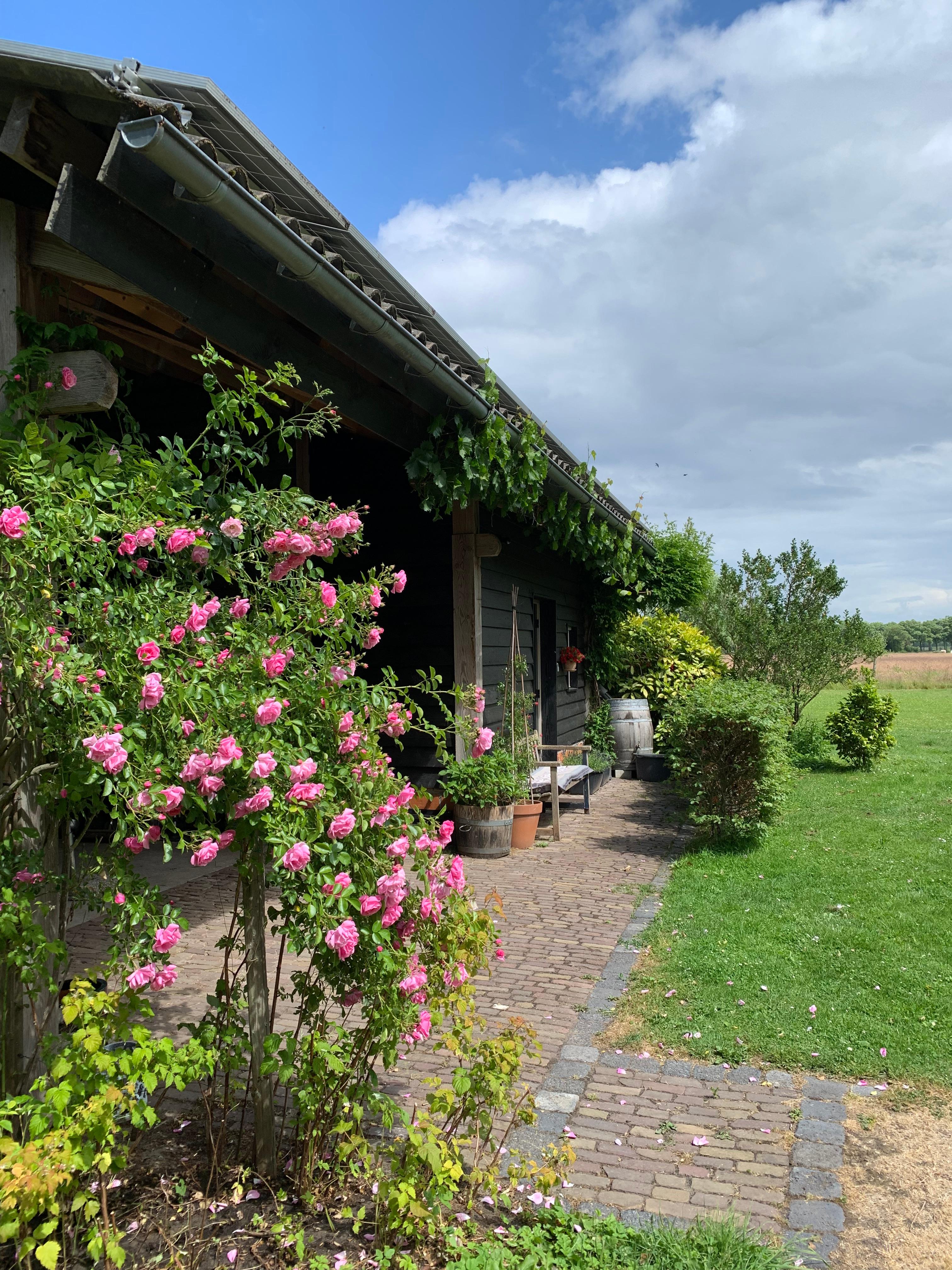 Casa nella natura a Boxtel