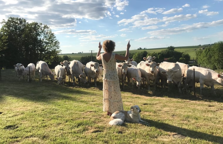 Boerderij in Jeantes — foto 3