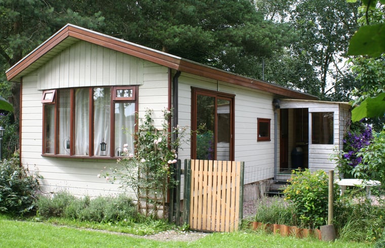 Chalet in Veelerveen — foto 2