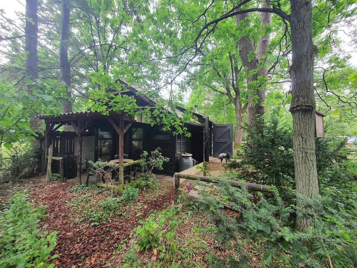 Maison nature à Loenen