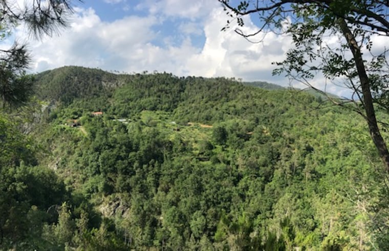 Boerderij in Carro — foto 3