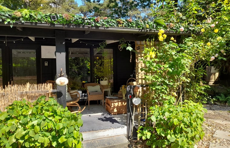 Bungalow in Oud-Turnhout — foto 1