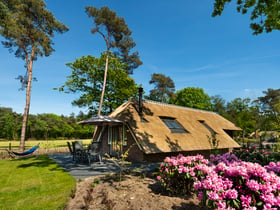 Maison nature à Putten