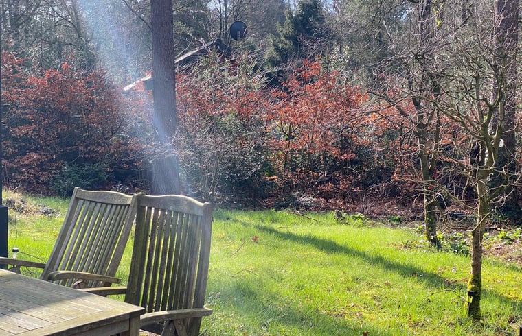 Bungalow in Lochem — foto 3