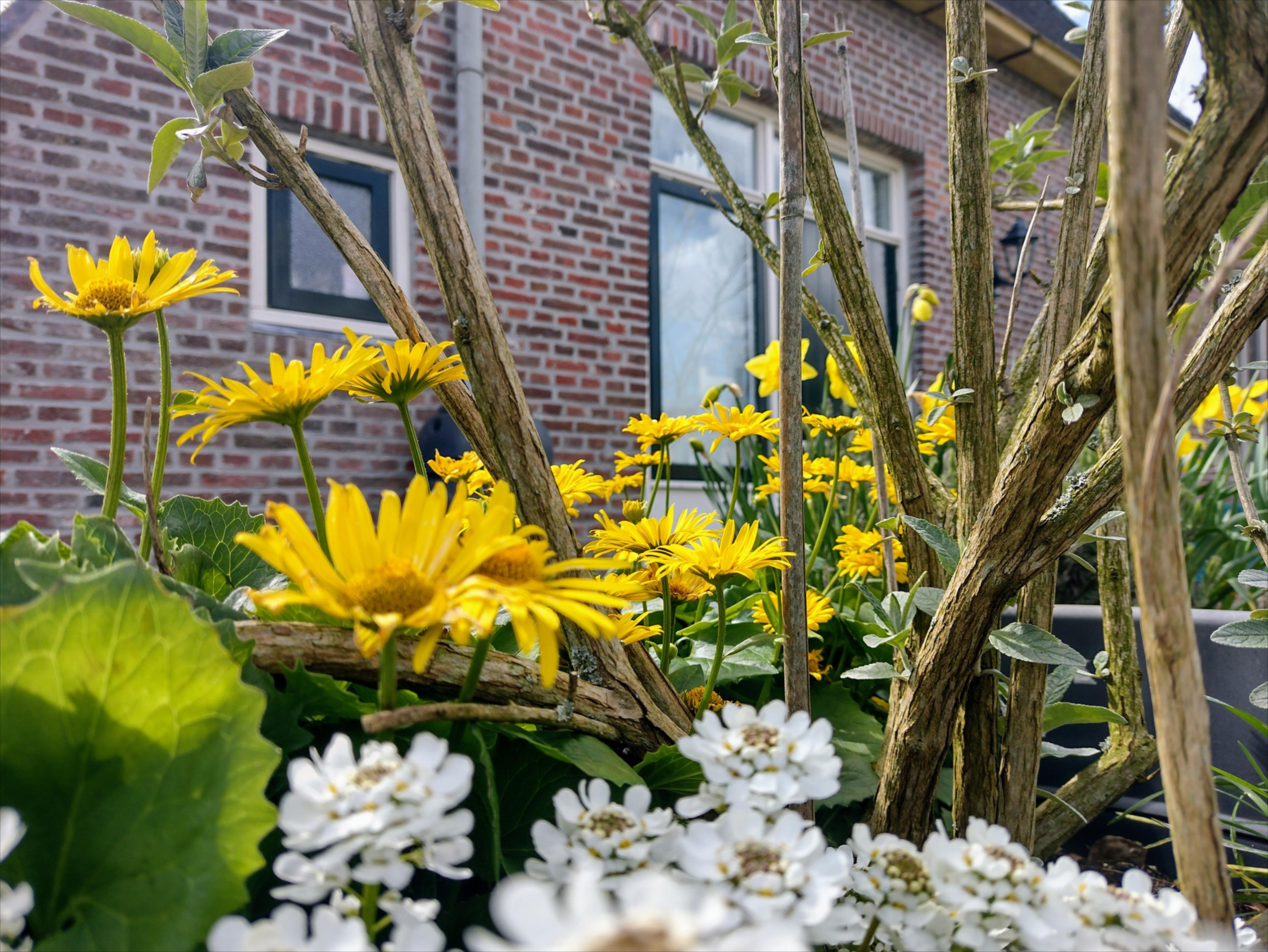 Nature house in Nijewier