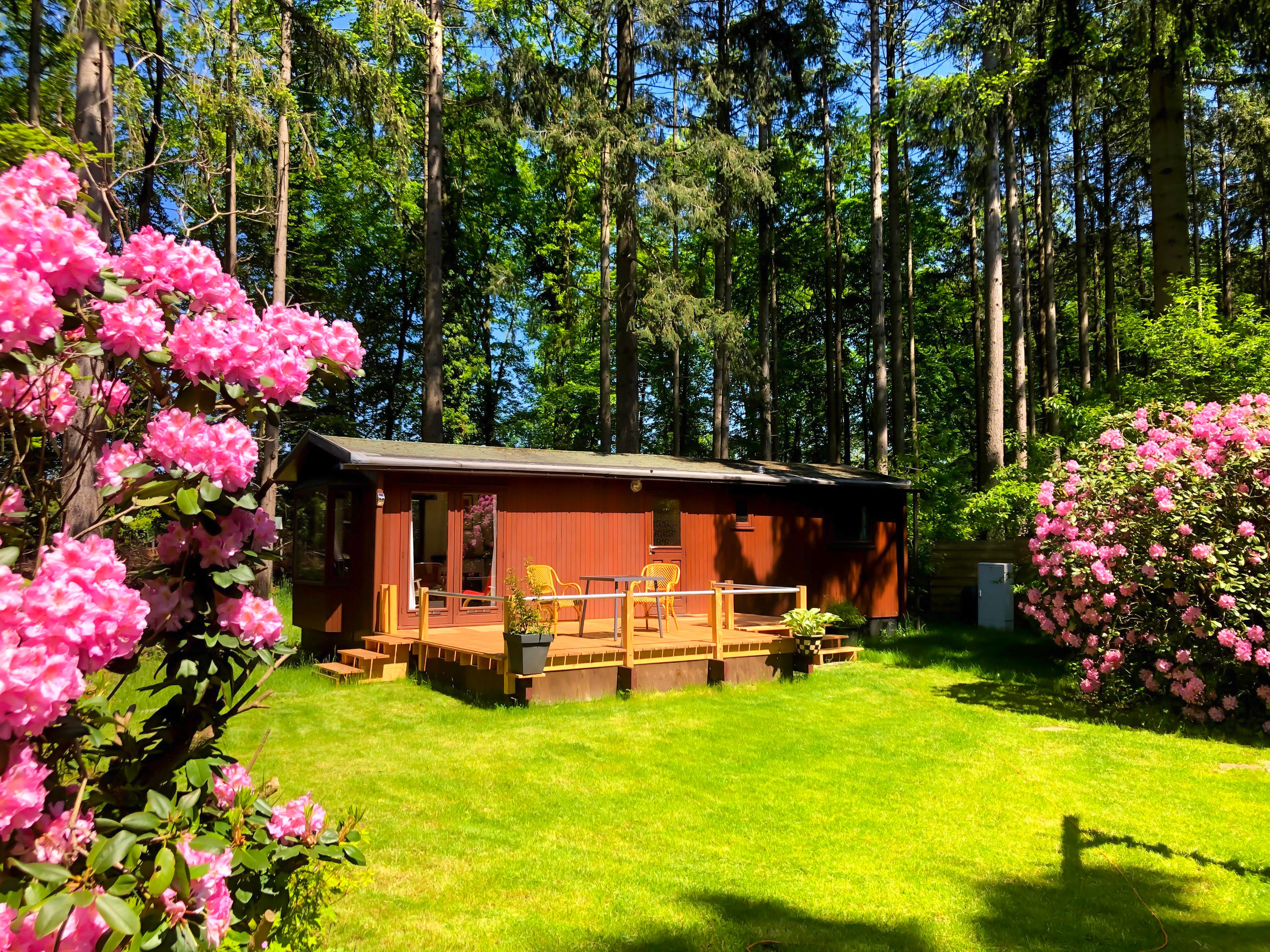 Nature house in Lochem
