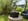 Nature house in Oostknollendam