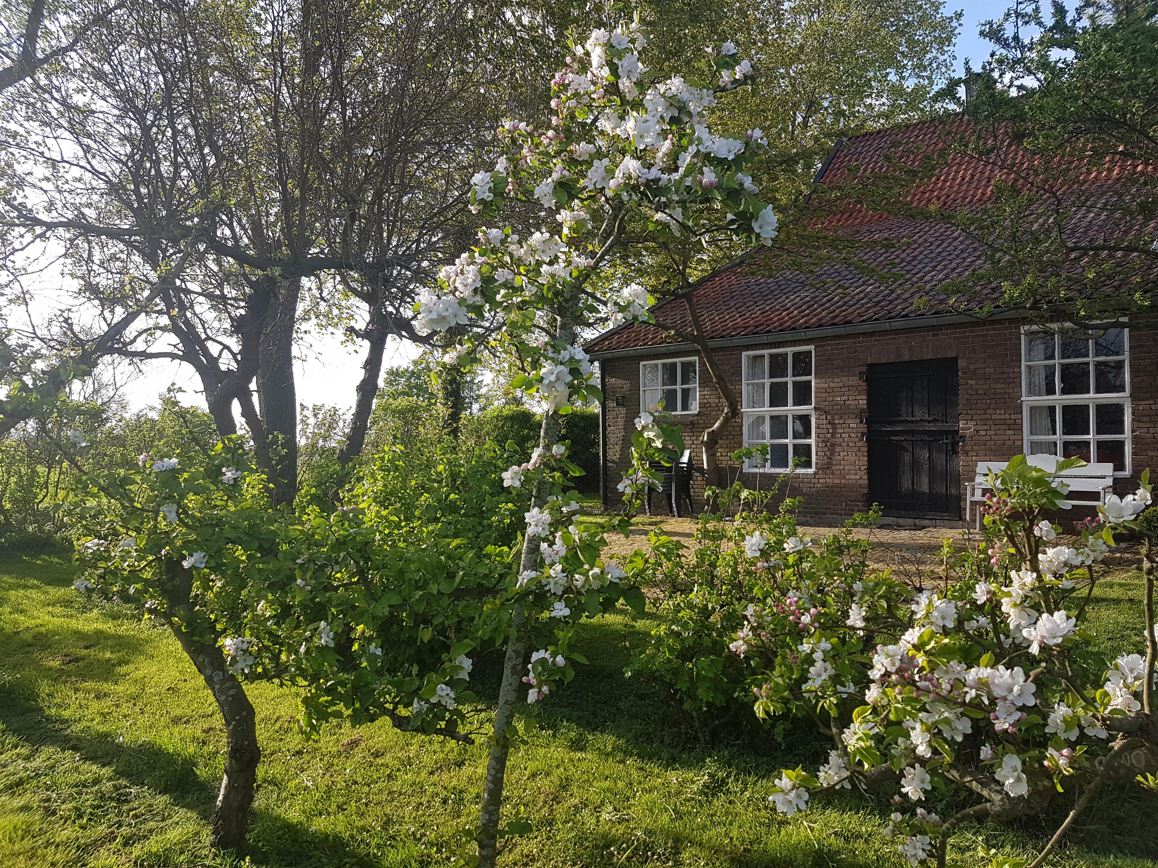 Maison nature à Veere