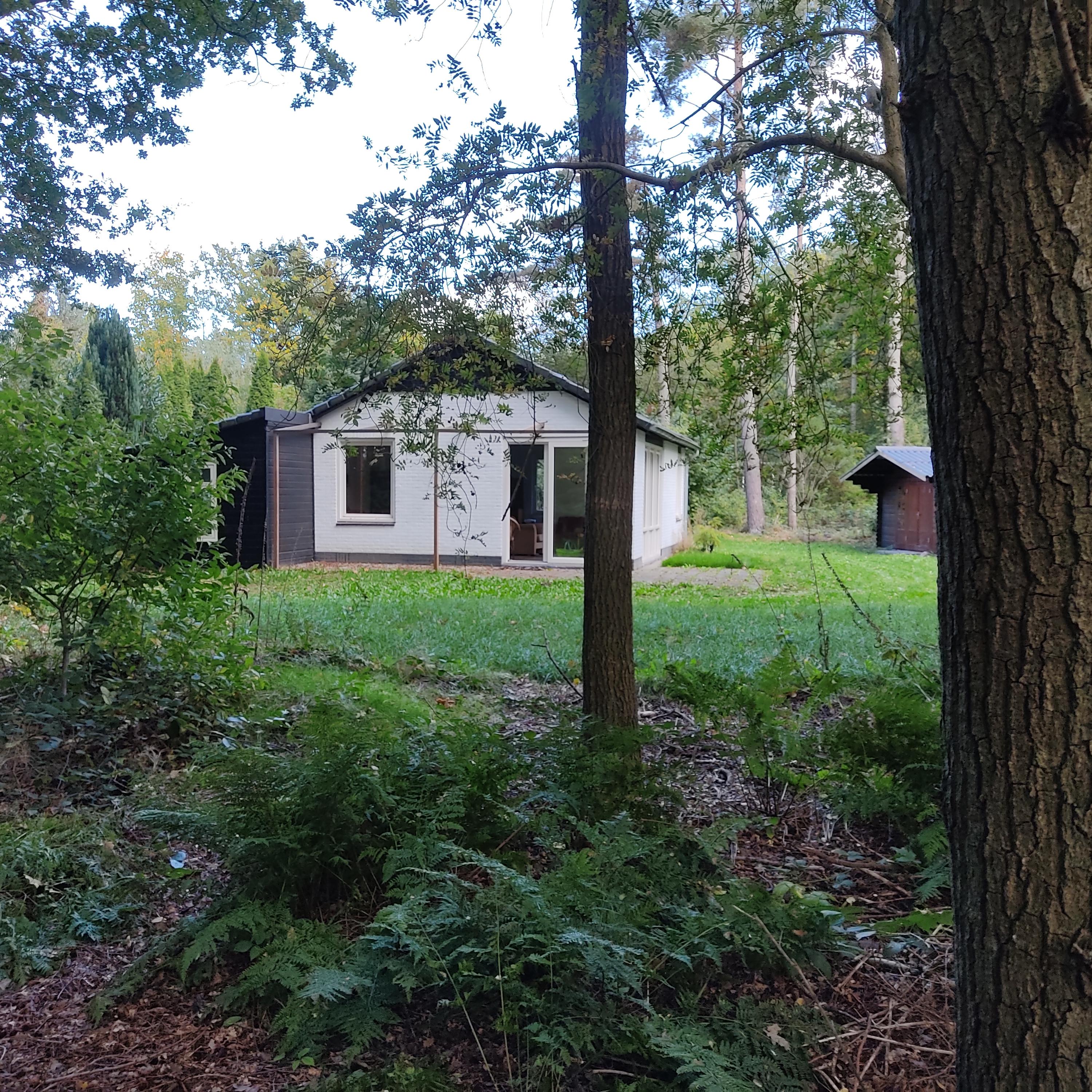 Maison nature à Gasselte