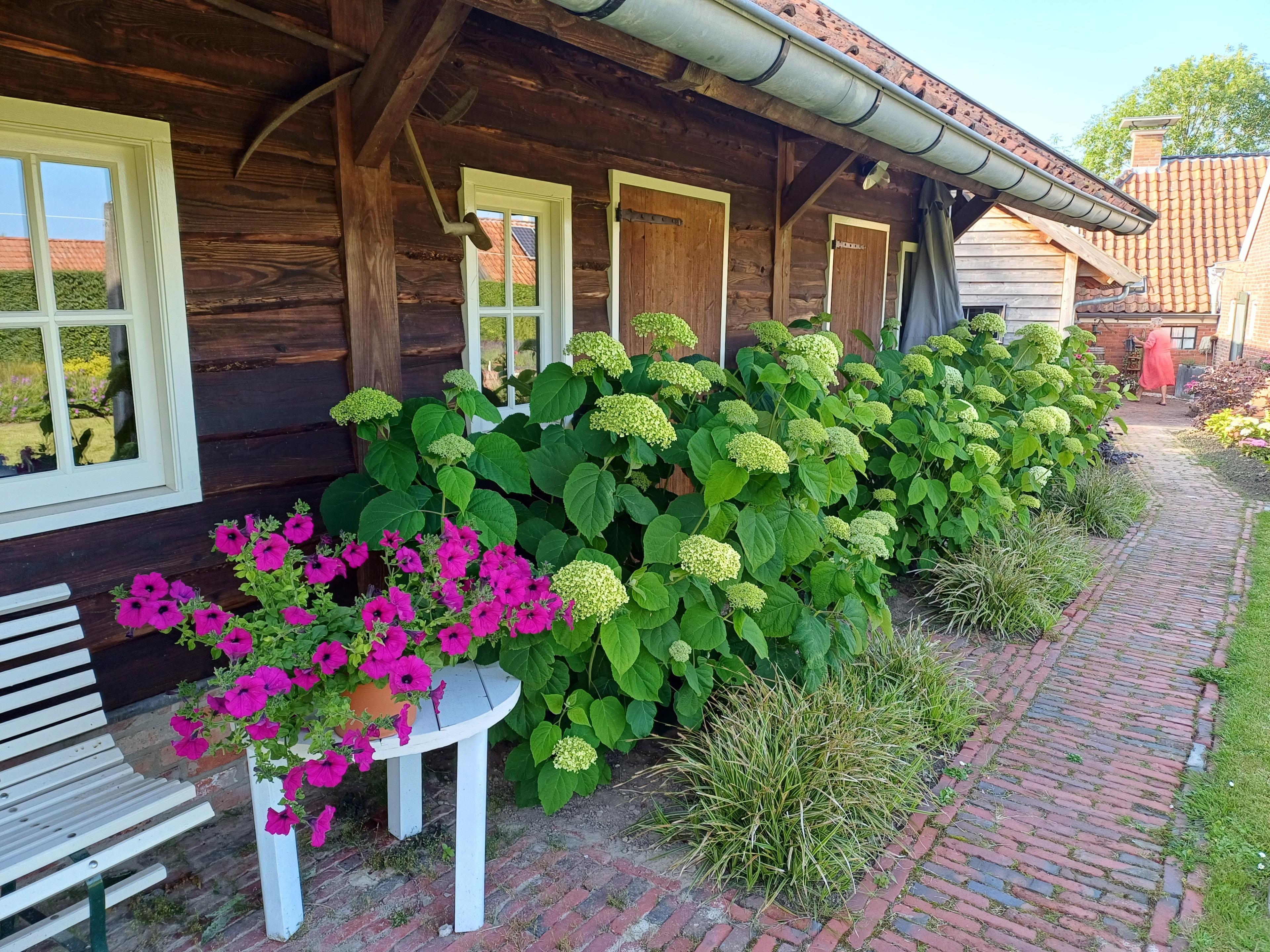 Nature house in Uithuizermeeden