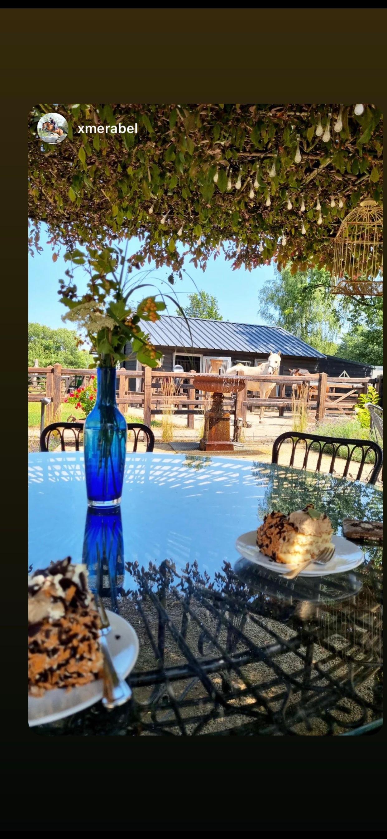 Maison nature à Bladel