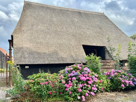 Maison nature à Dwingeloo