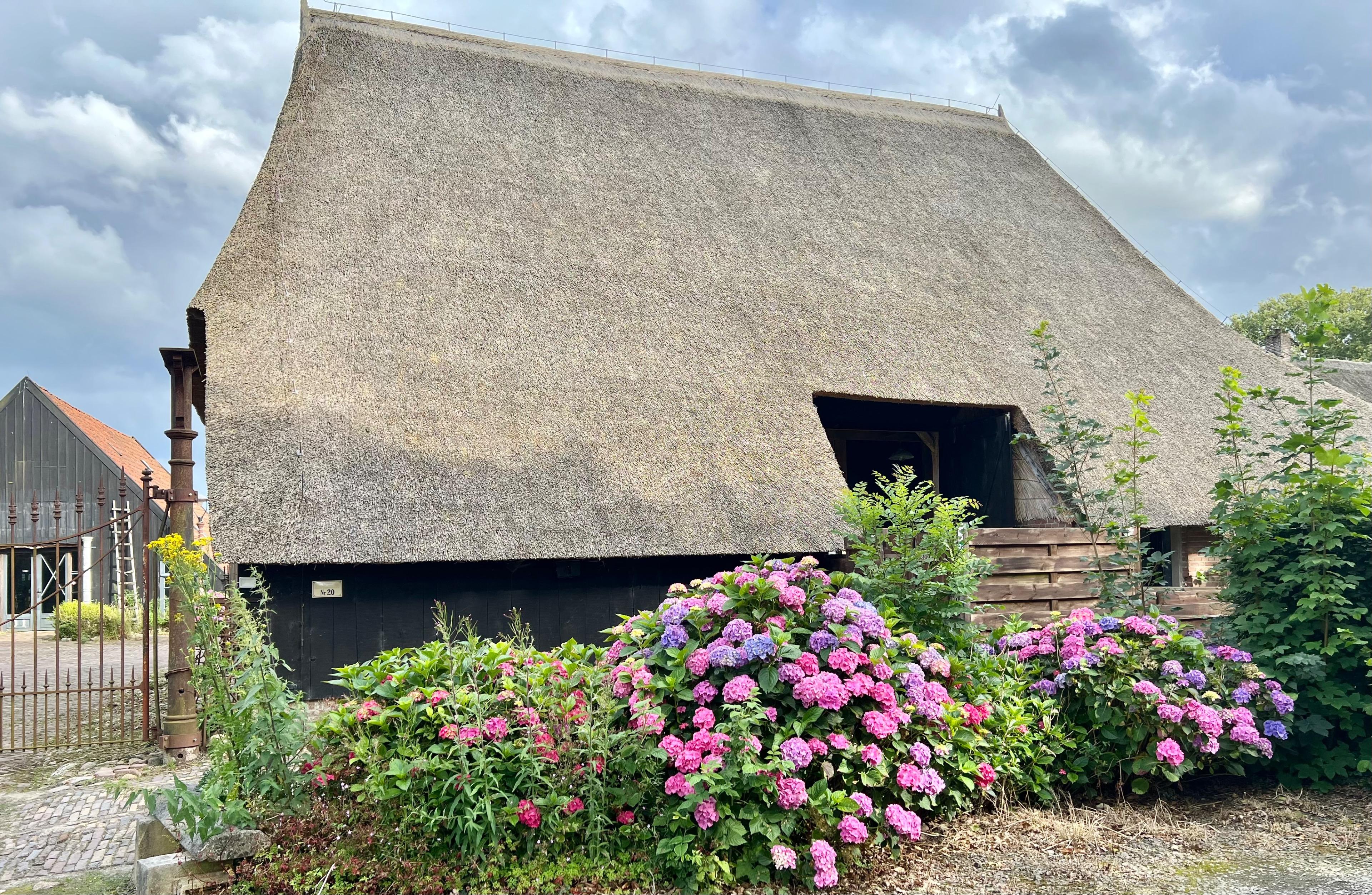 Nature house in Dwingeloo