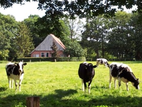 Natuurhuisje in Denekamp