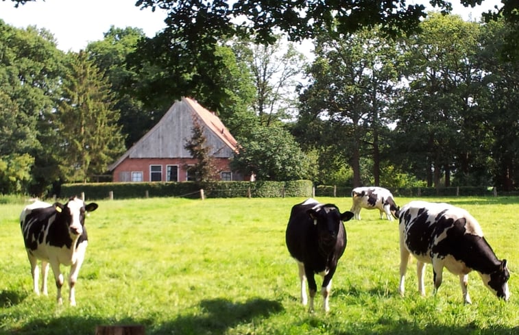 Natuurhuisje in Denekamp