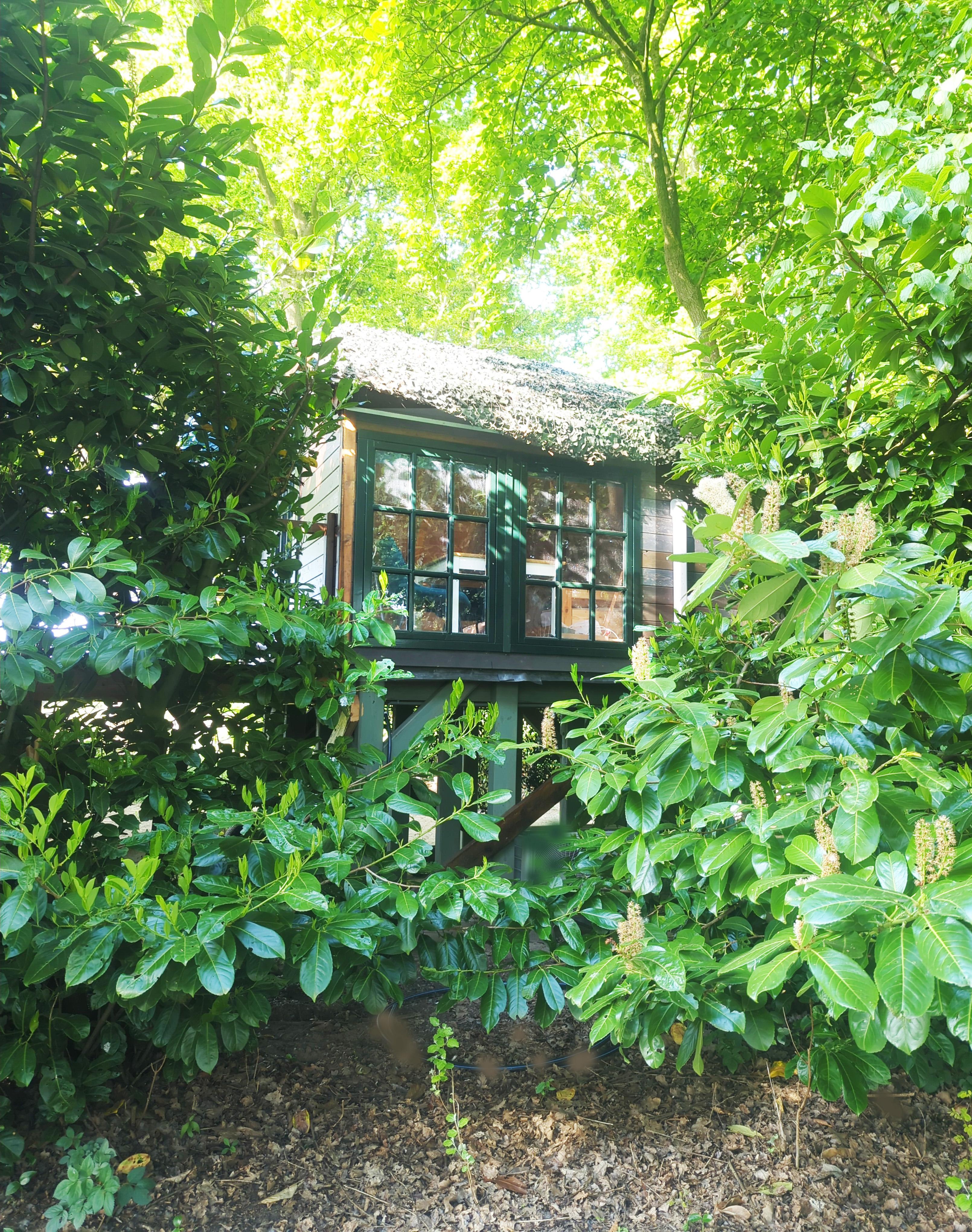Maison nature à Sellingen
