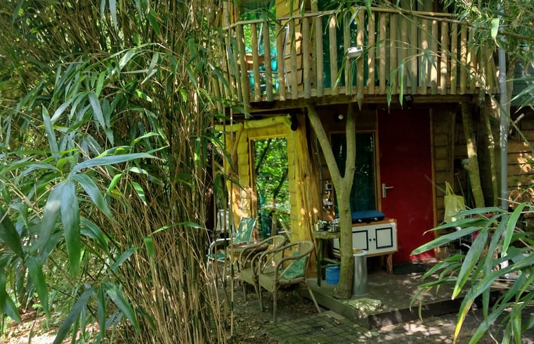 Natuurhuisje in Beekbergen