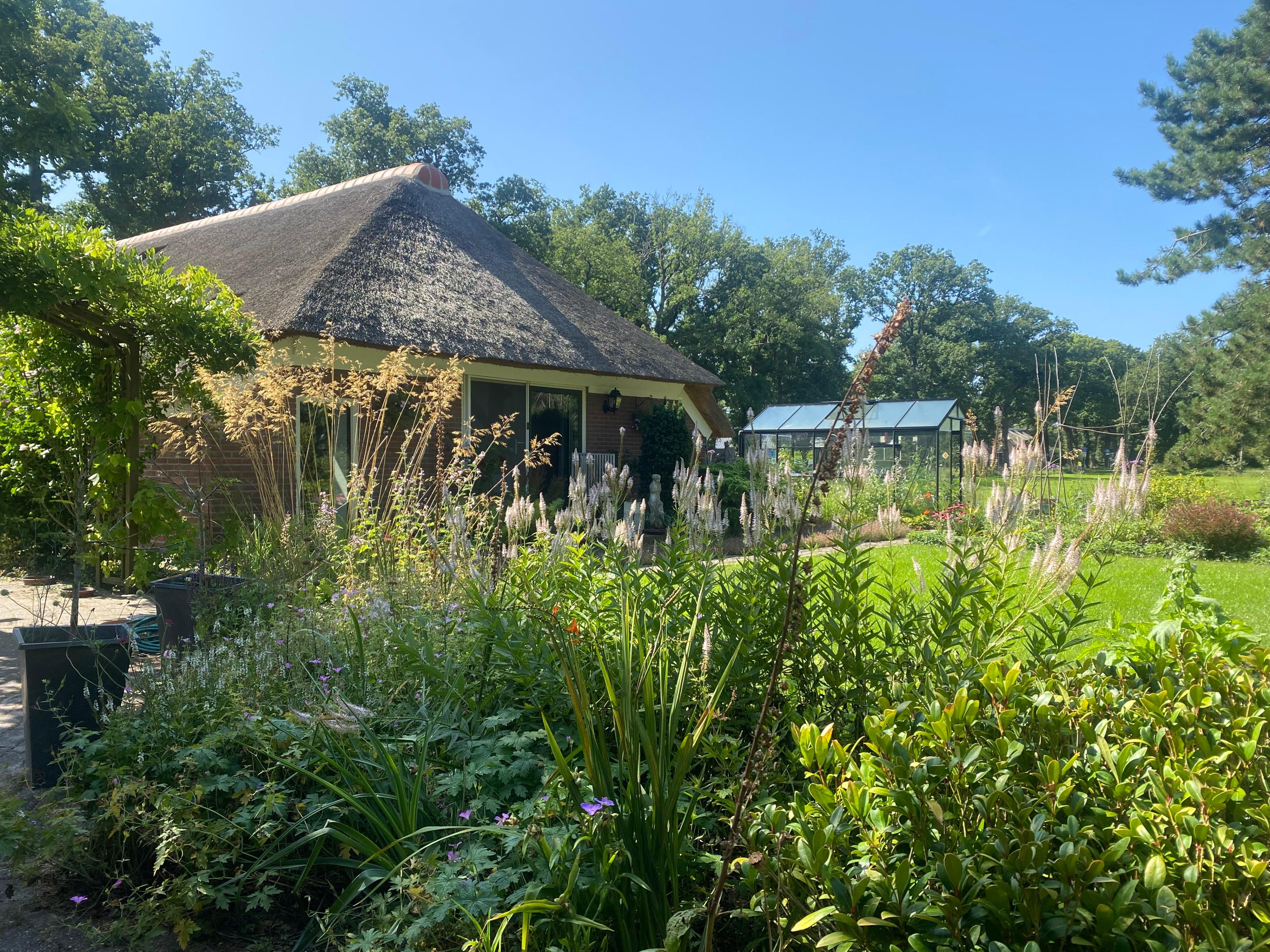 Maison nature à Ruinen