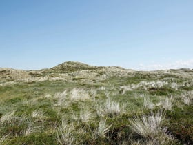 Natuurhuisje in Pandrup