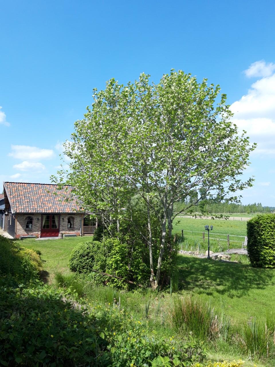 Natuurhuisje in Amerongen