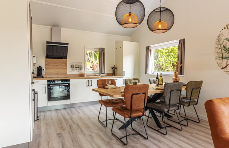 Vakantiehuis in Nes — foto 2