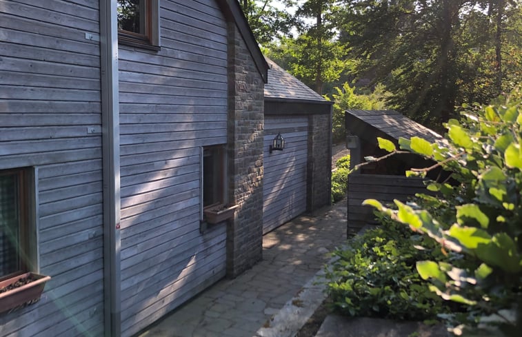 Nature house in La Roche-En-Ardenne: 7