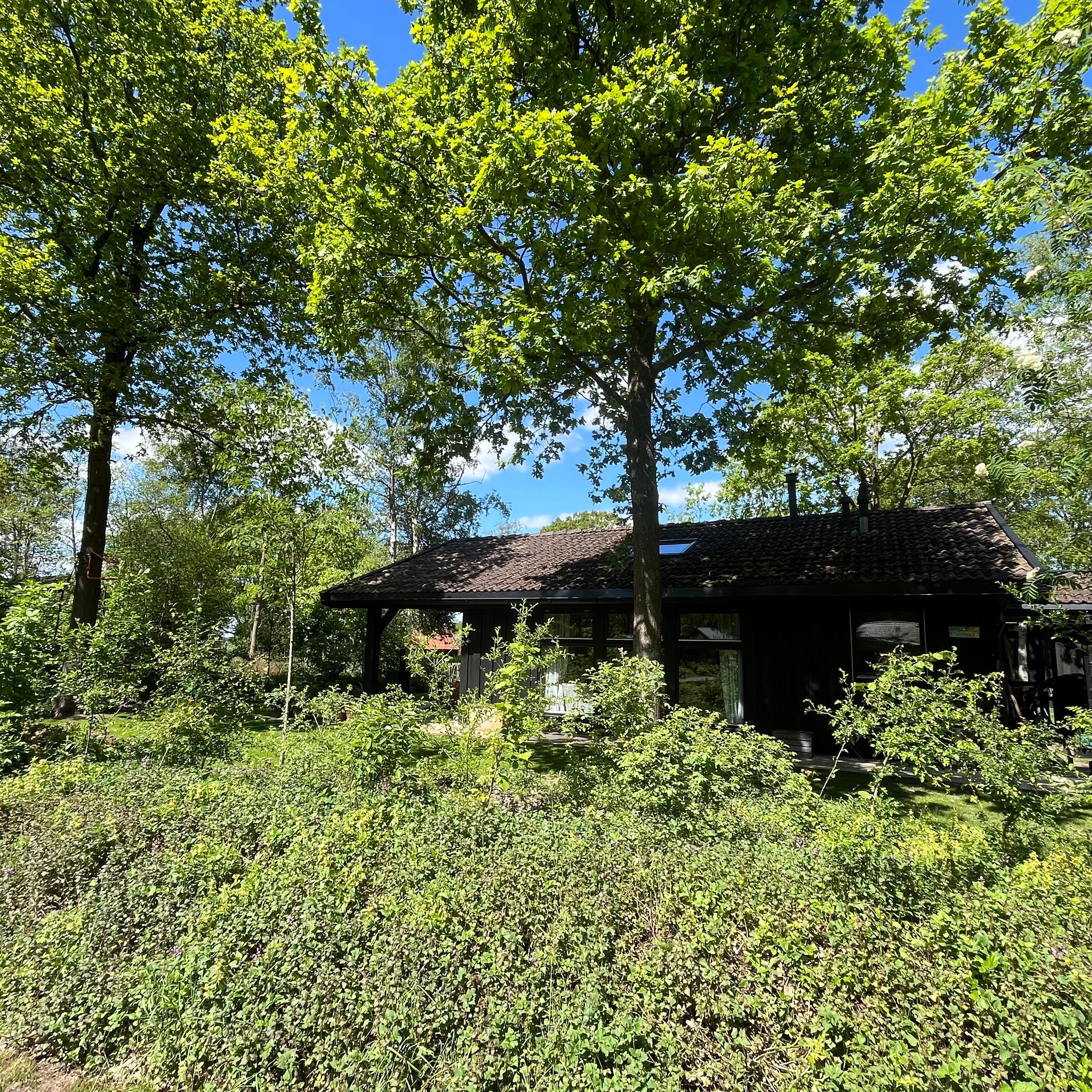 Nature house in Dwingeloo