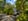 Nature house in Holten