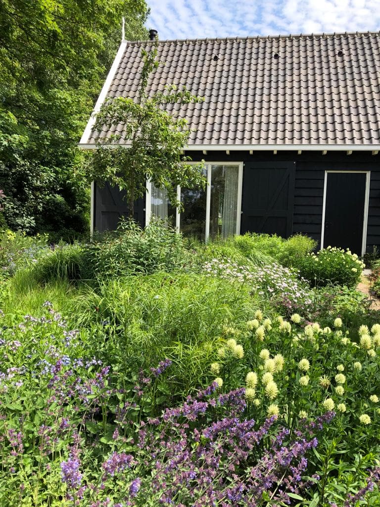 Maison nature à Veere