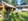 Casa nella natura a Westerbork