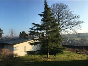 Casa nella natura a Sauerland, Lichtenau-Husen