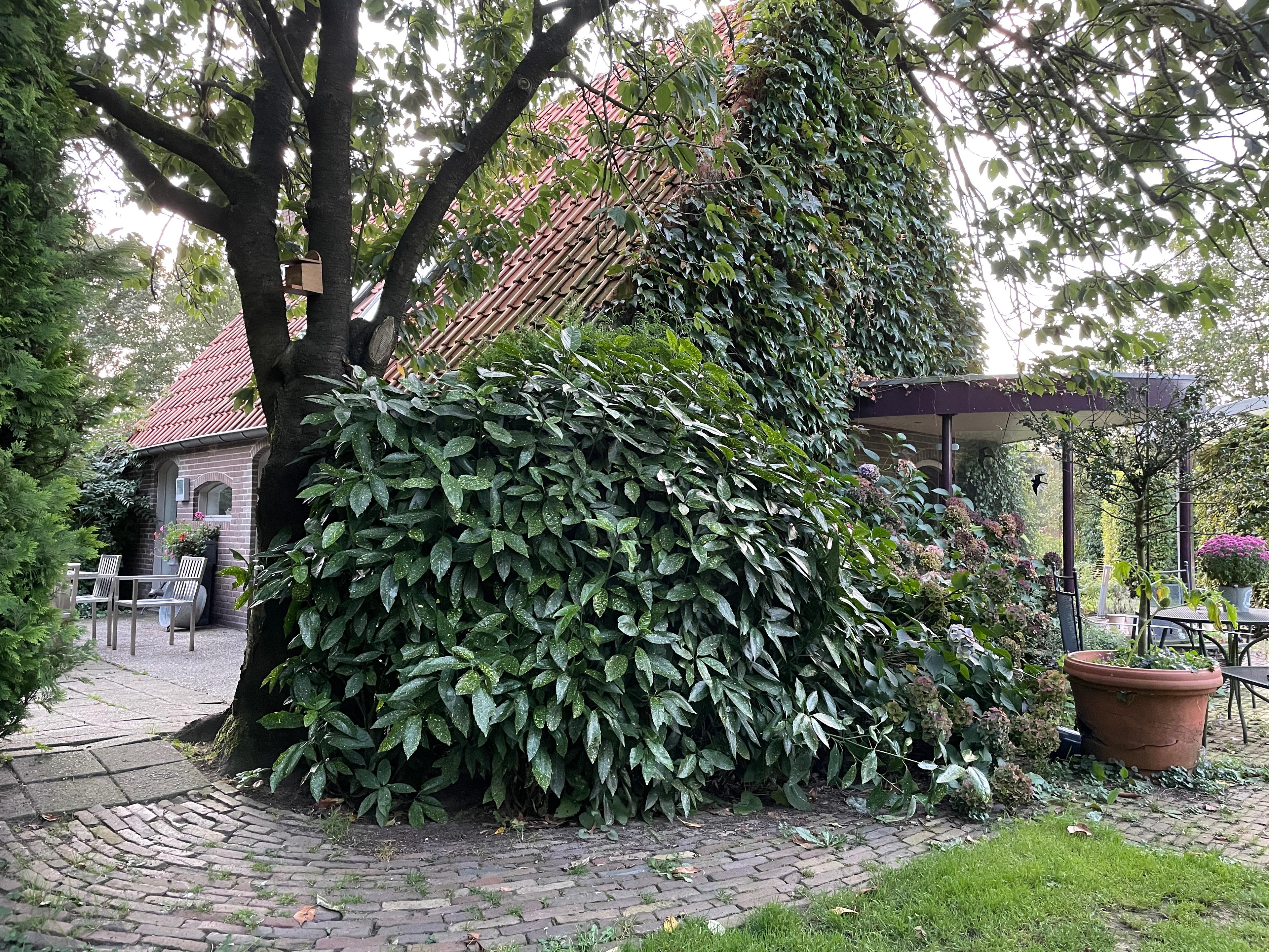 Maison nature à Nijkerk