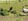 - image: 36