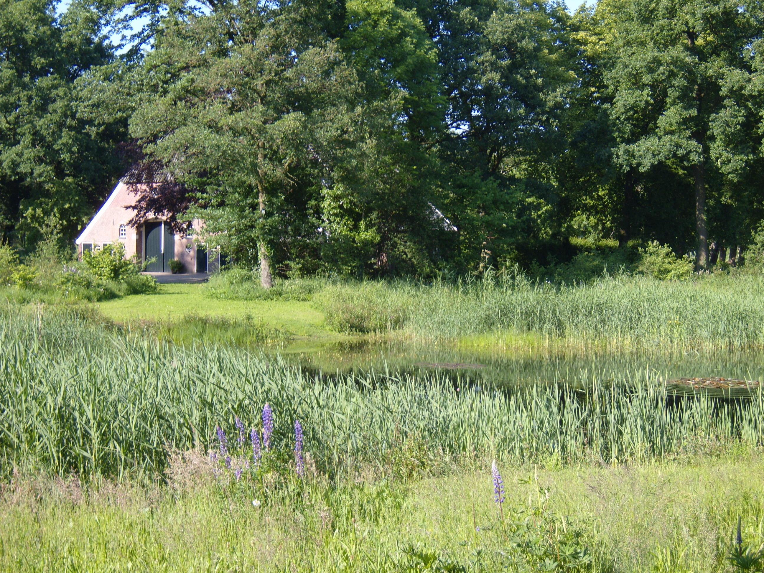 Nature house in Markelo