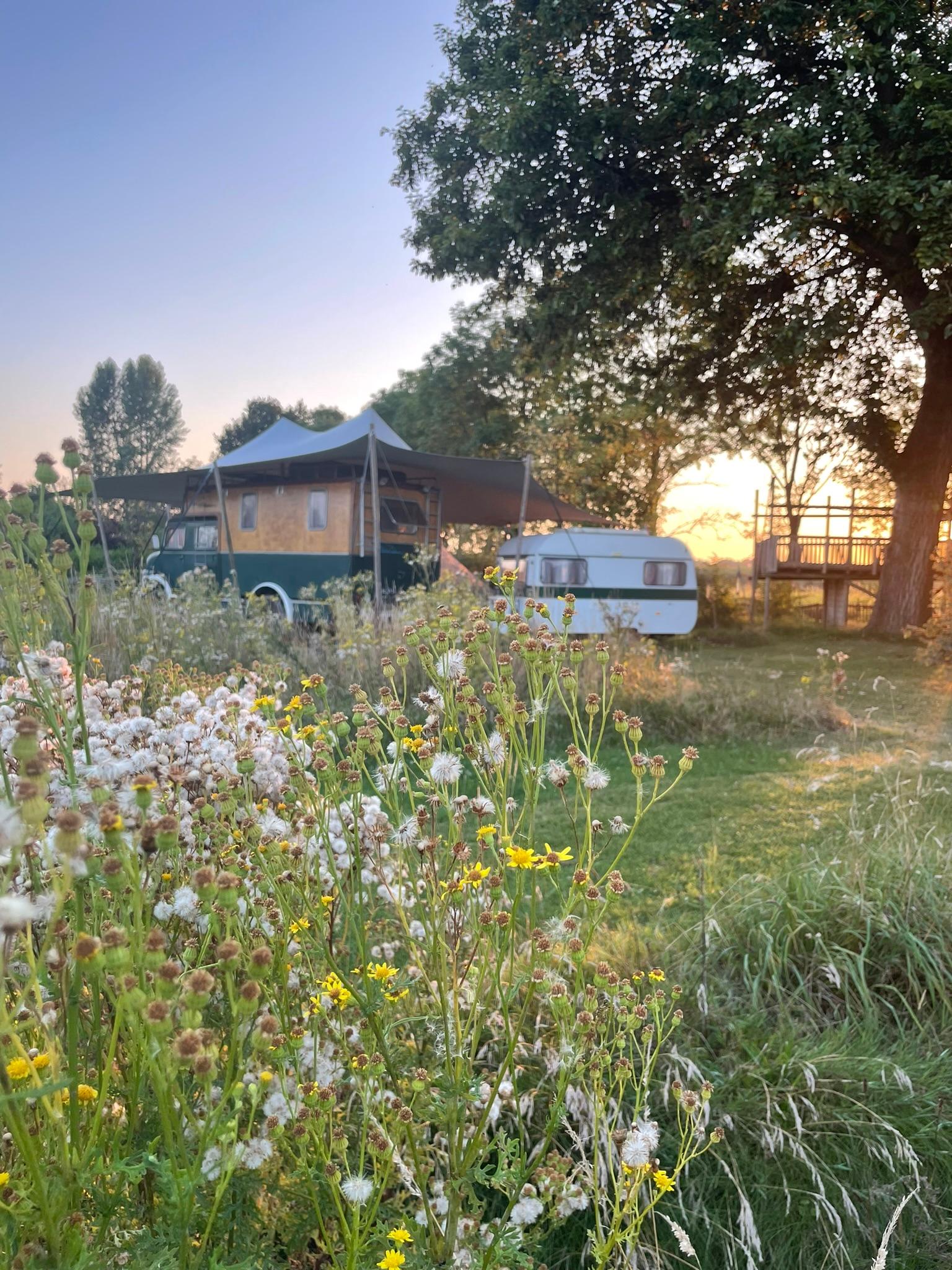 Nature house in Kesteren