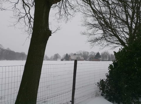 Naturhäuschen in Winterswijk Corle: 33
