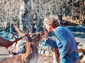 Casa nella natura a Tyringe