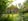 Nature house in Geesteren