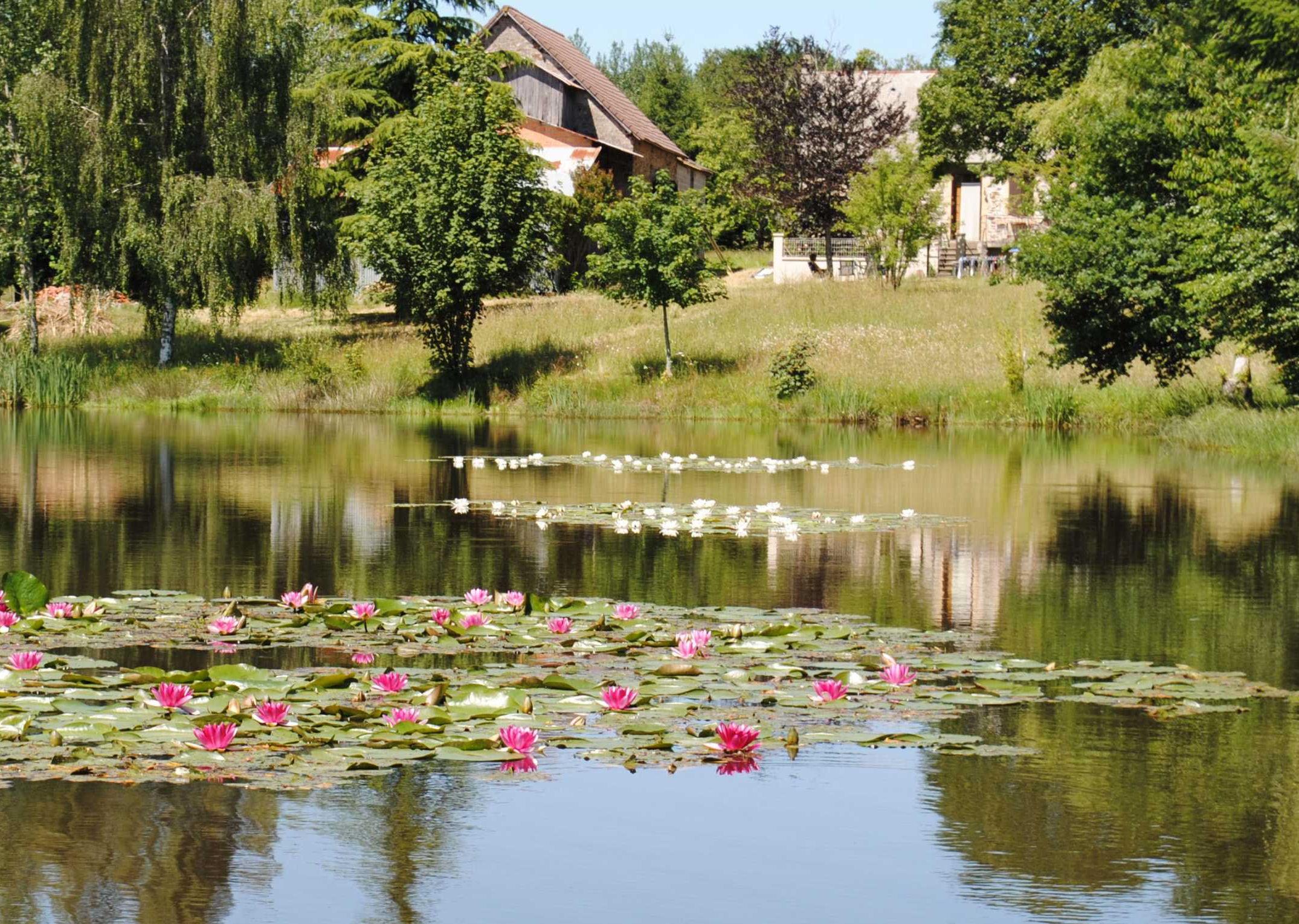 Natuurhuisje in Sarlande