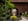 Nature house in Schimmert