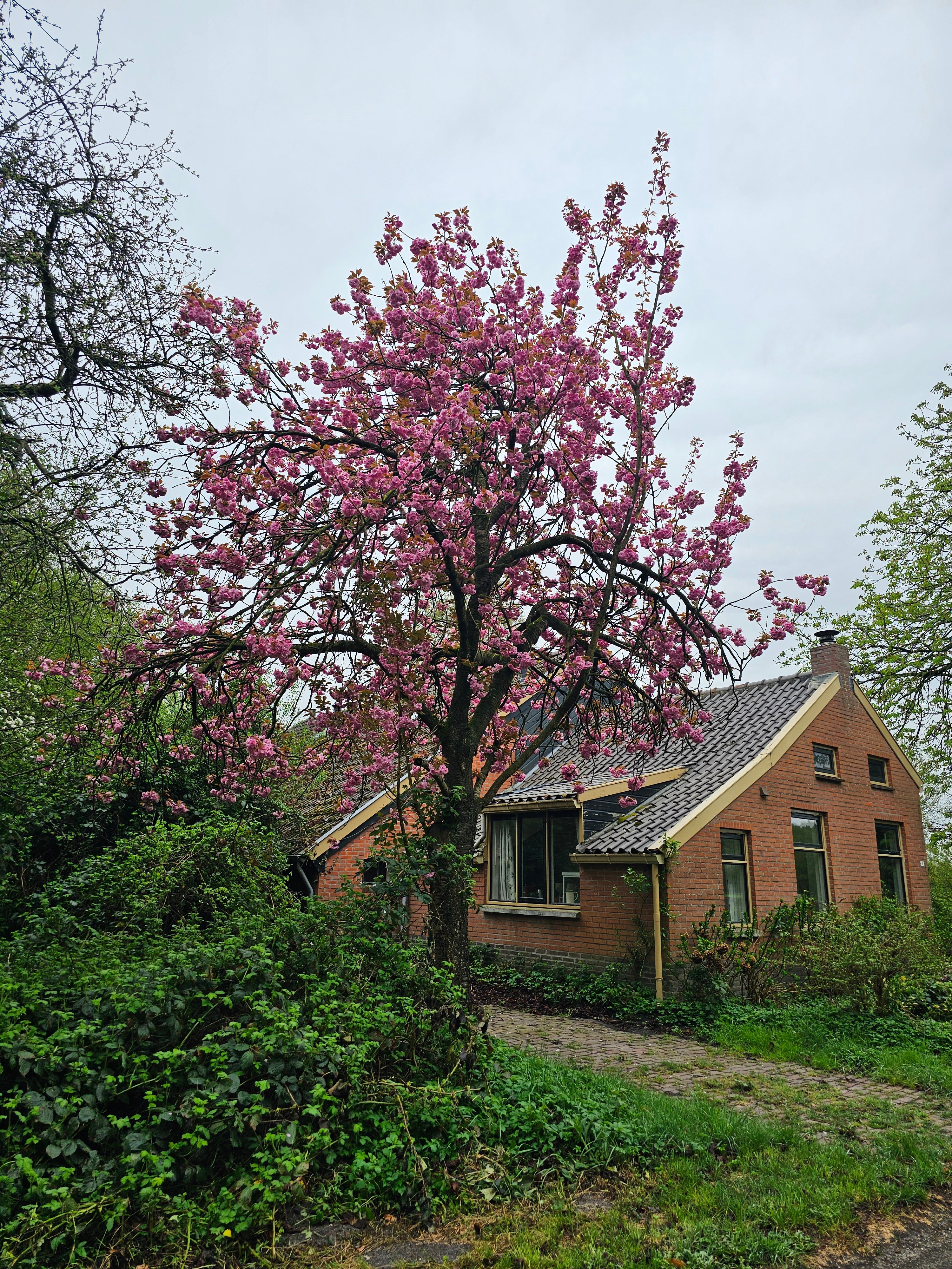 Natuurhuisje in Bellingwolde